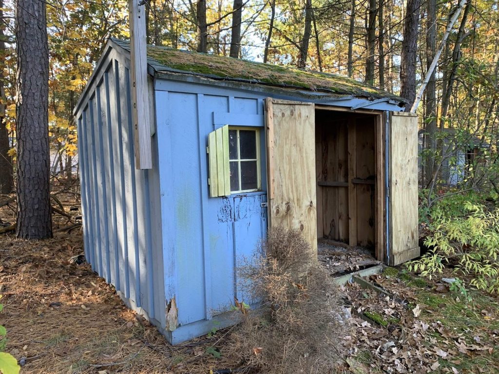 Shed+Removal